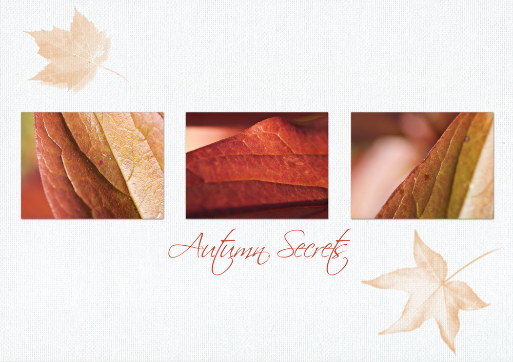 Autumn Secrets