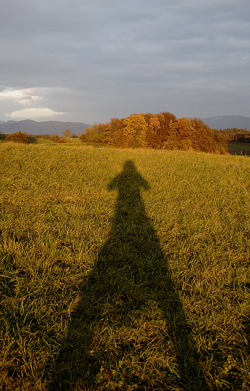 Autumn shadow...