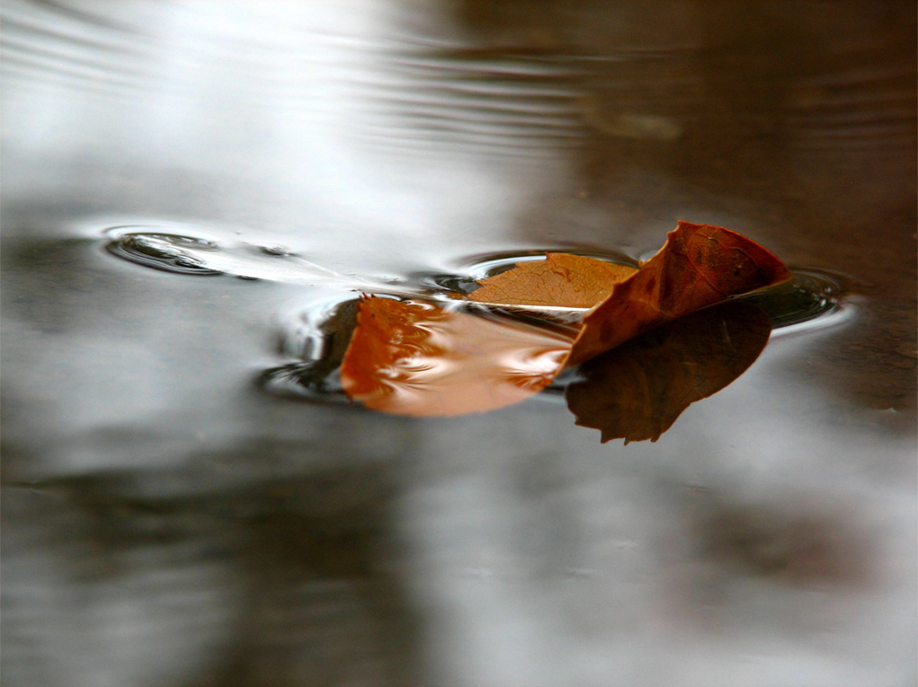 autumn silence