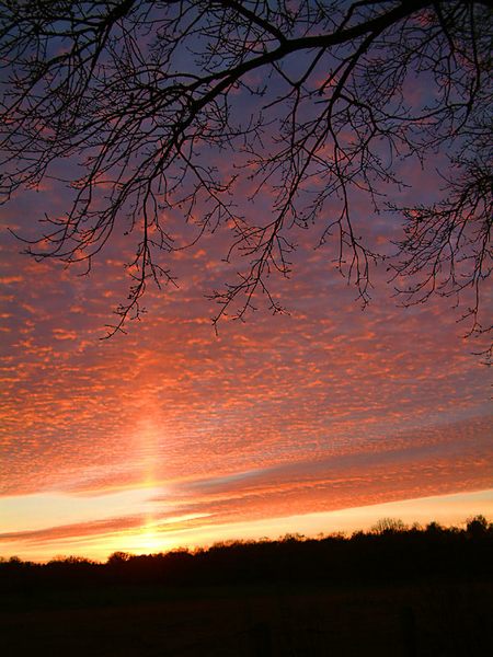 Autumn - Sky