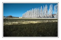 autumn, somewhere between Northsea and Alps