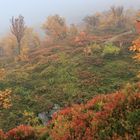 Autumn - Sonfjaellet NP