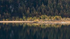 Autumn-Spot 