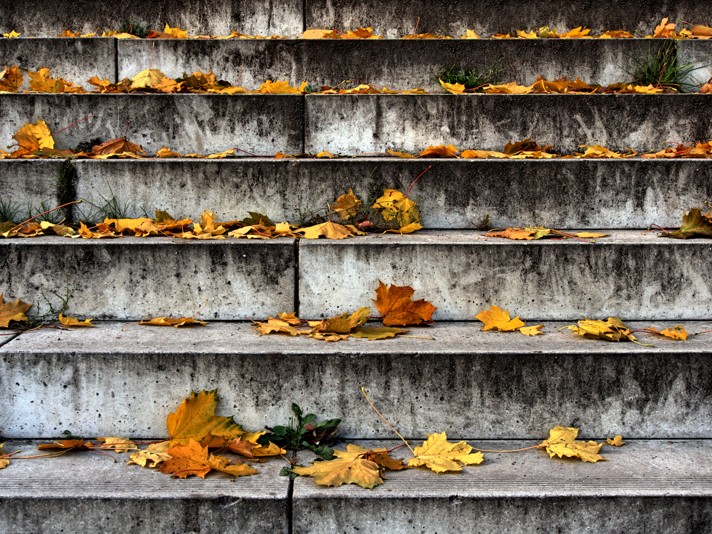 Autumn Stairs