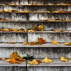 Autumn Stairs