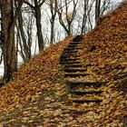 Autumn steps