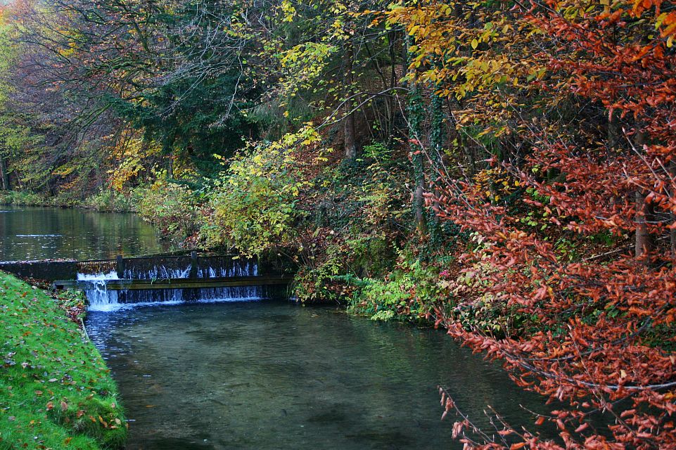 Autumn still in sight