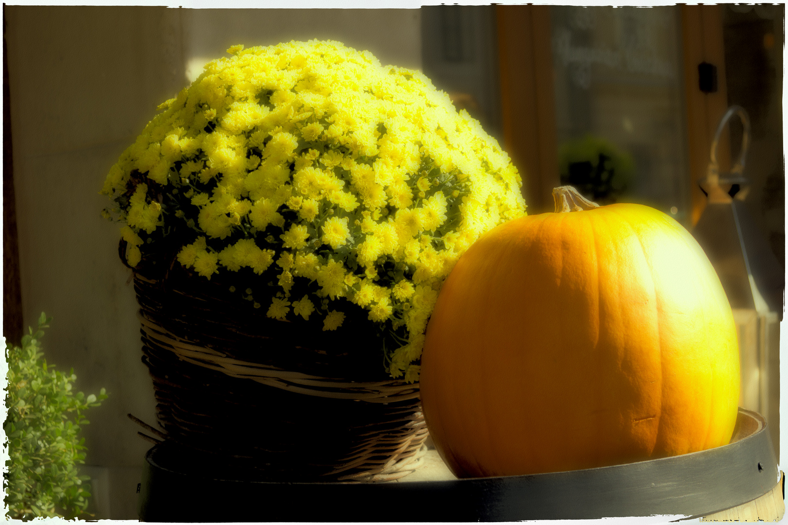 Autumn still life