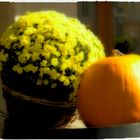 Autumn still life