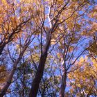 Autumn. Stockholm, Sweden