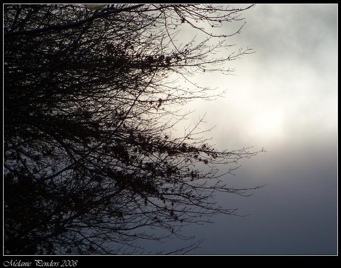 Autumn Storm Sky