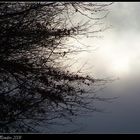 Autumn Storm Sky