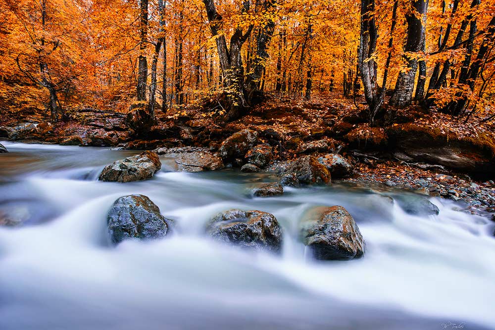autumn stream