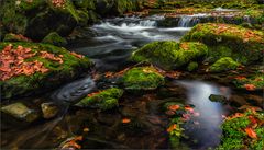 autumn stream