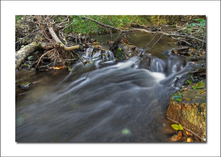 Autumn stream