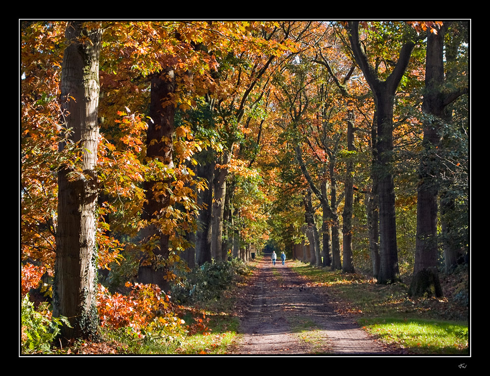 Autumn stroll