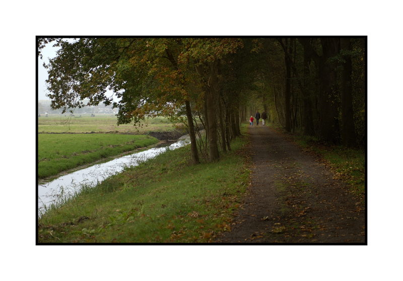 Autumn Stroll