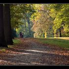 Autumn stroll II