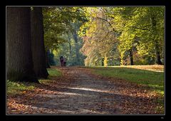 Autumn stroll II