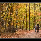 Autumn stroll III