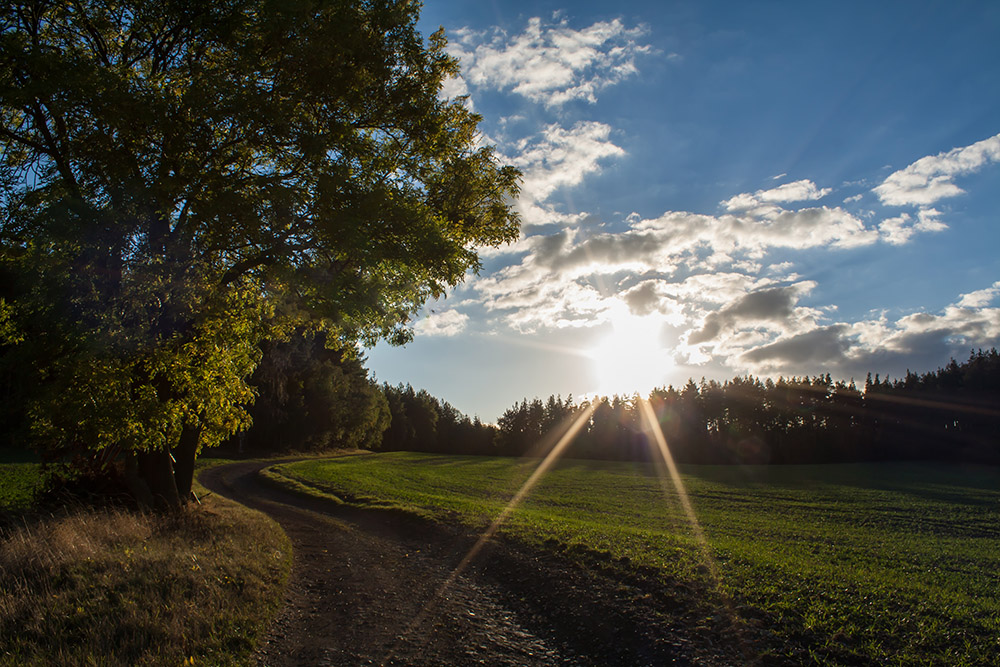 Autumn Sun