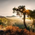 Autumn Sun