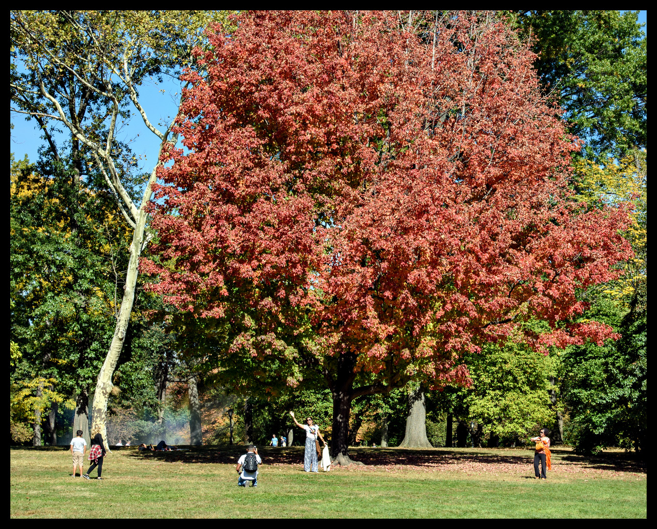 Autumn Sunday Central Park