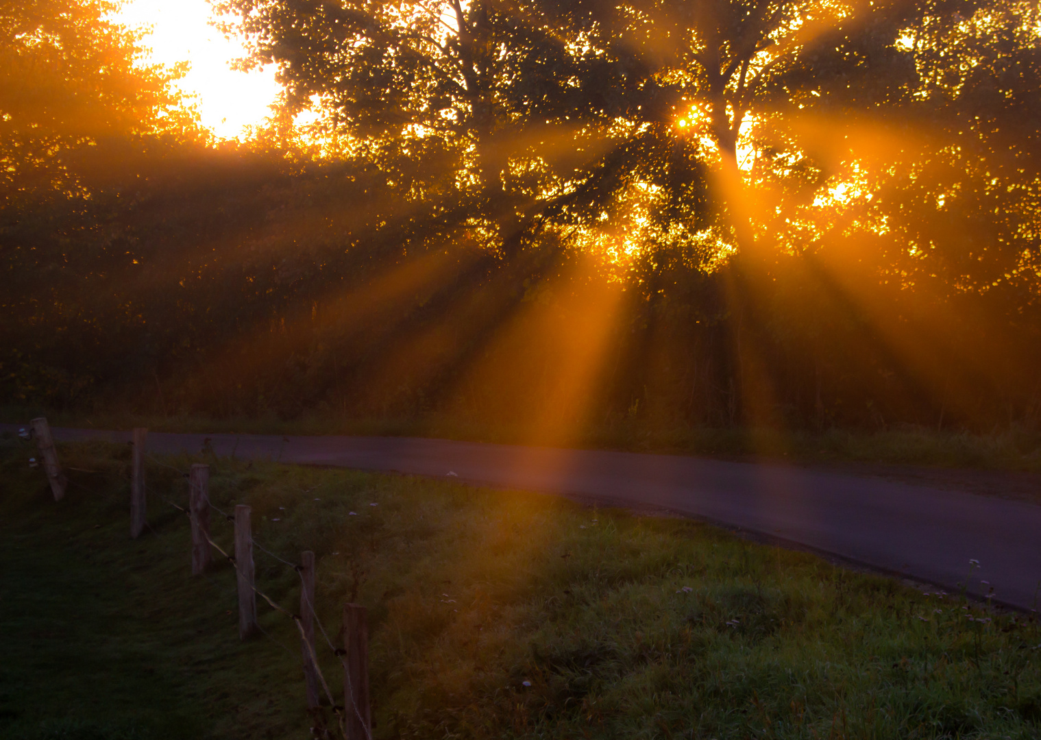 Autumn Sunrise