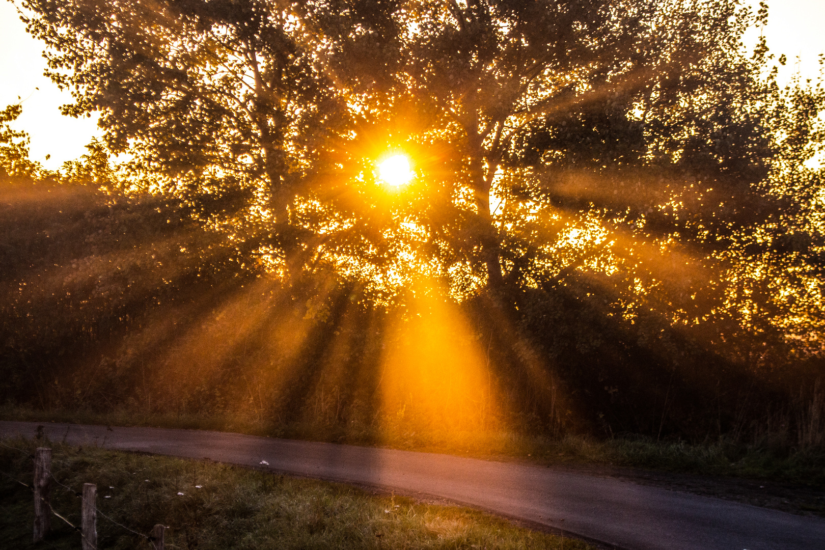 Autumn Sunrise