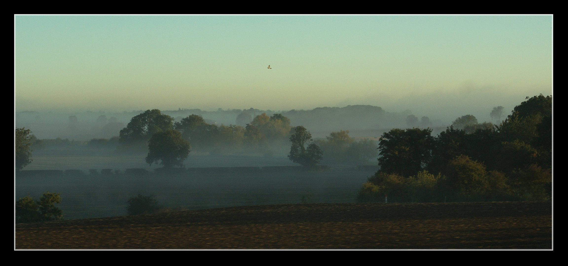 Autumn Sunrise