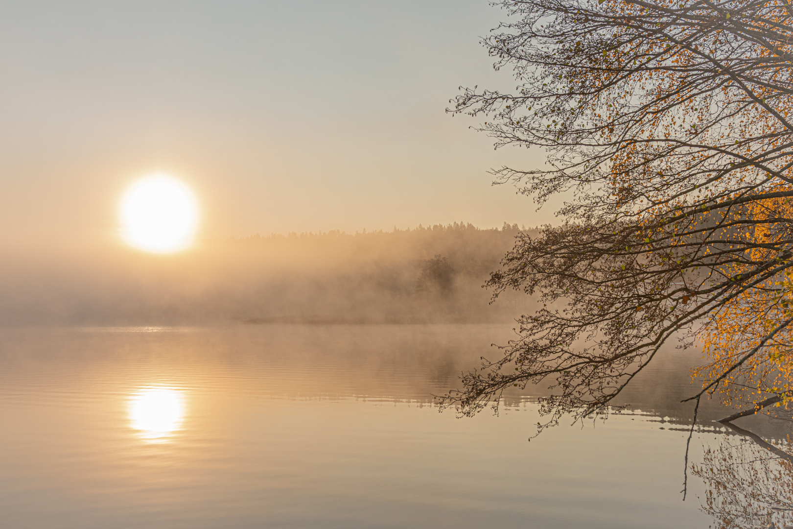 Autumn sunrise