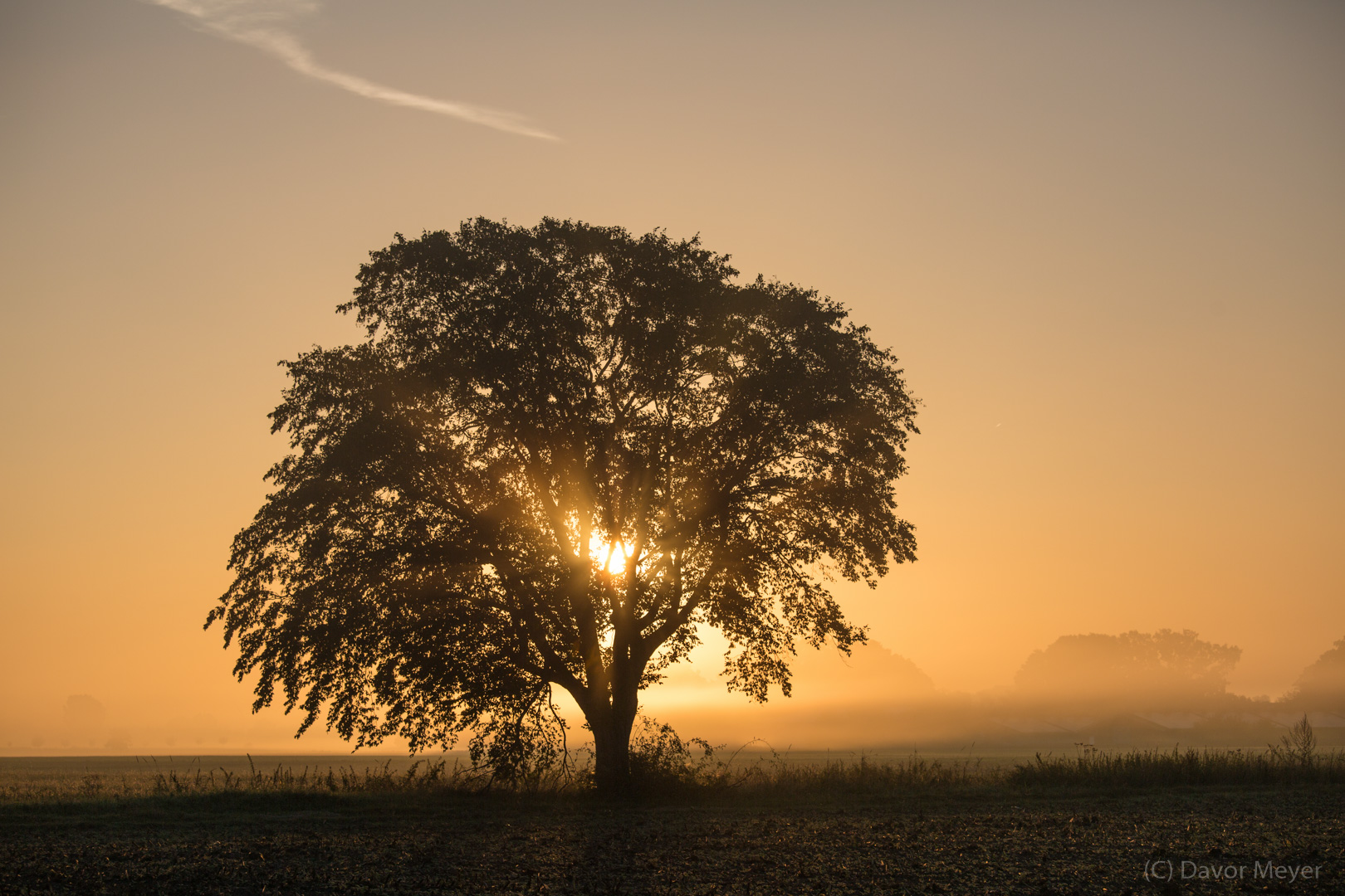 autumn sunset 