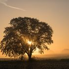 autumn sunset 