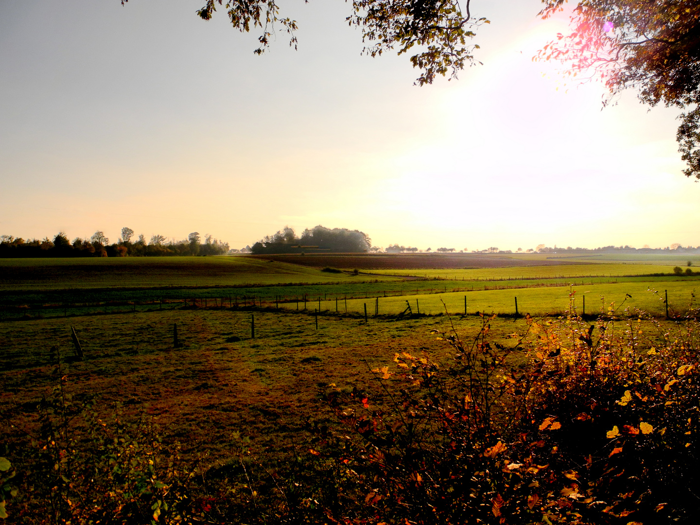 Autumn Sunset