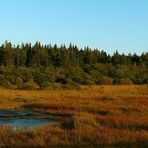 Autumn Swamp (3) : The ‘pingo’