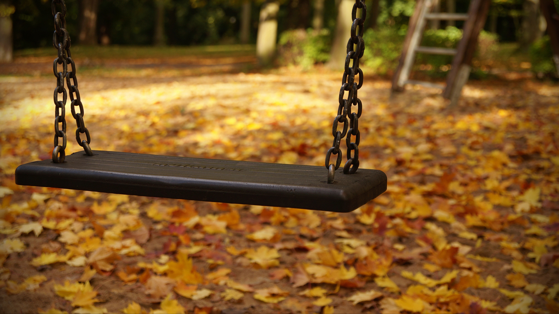 Autumn Swing