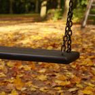 Autumn Swing