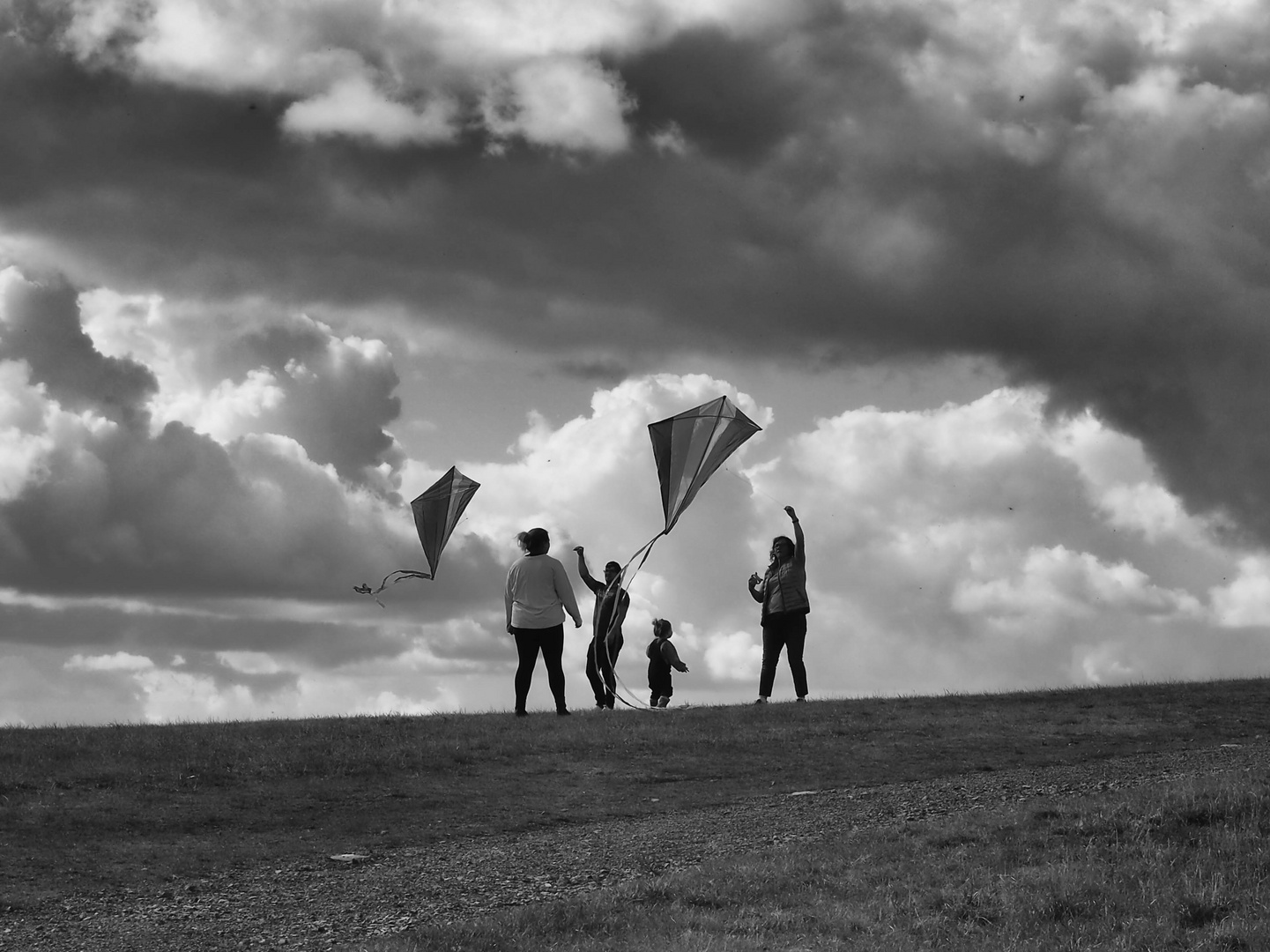 Autumn time for kite flying