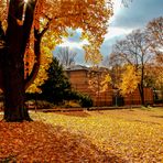 Autumn Time in the Hospital