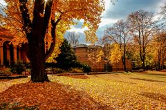 Autumn Time in the Hospital