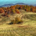 Autumn under Calvary SK