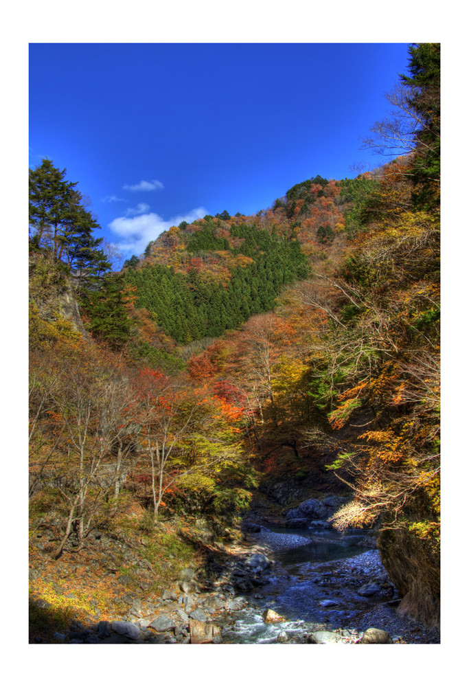 Autumn Valley-2