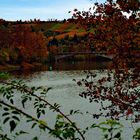 autumn vineyards