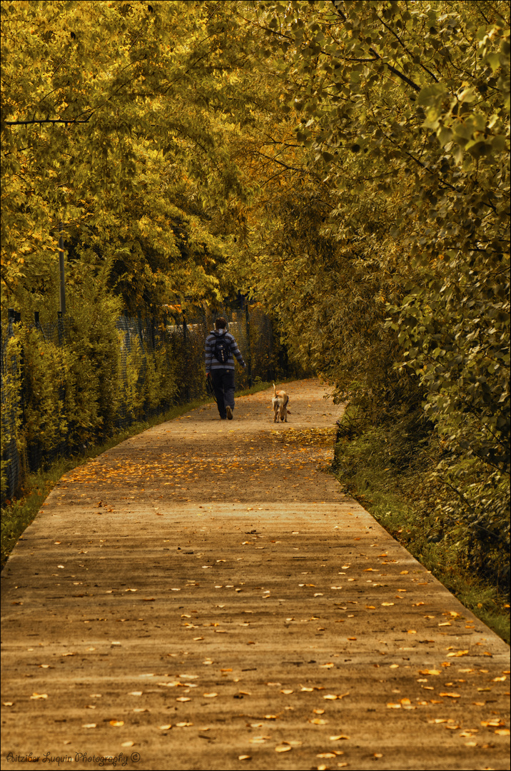 autumn walk