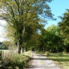 Autumn walk