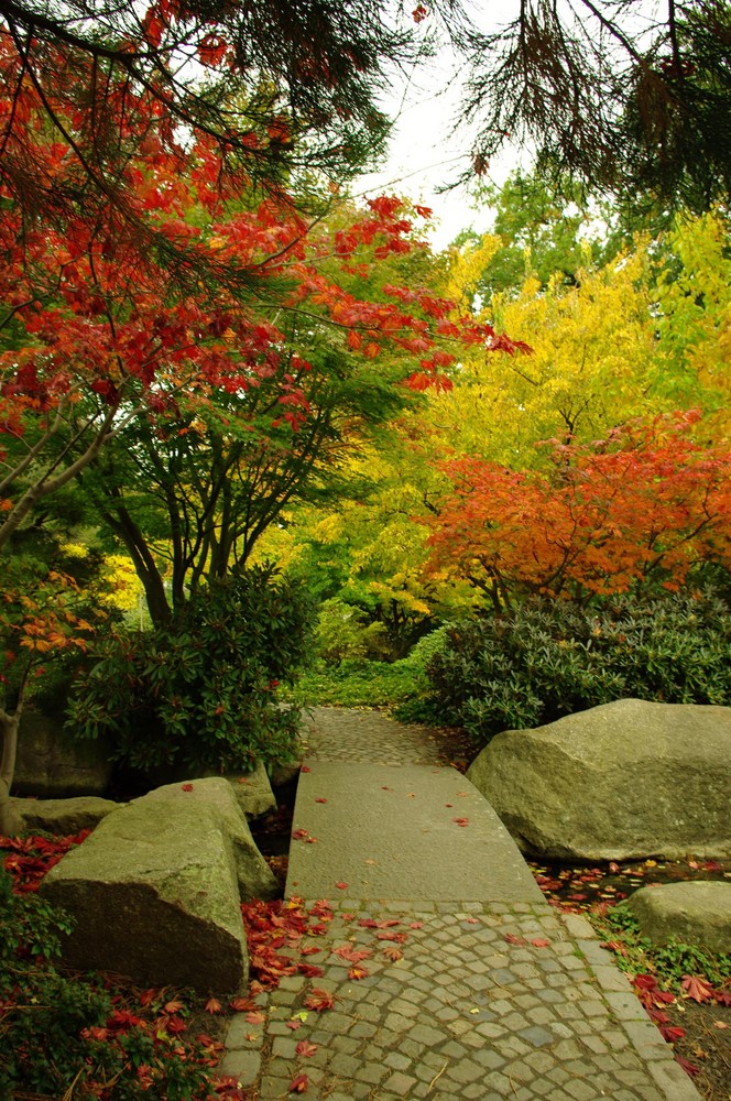 Autumn walk