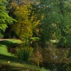 autumn walk