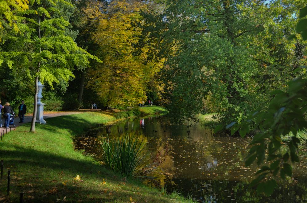 autumn walk