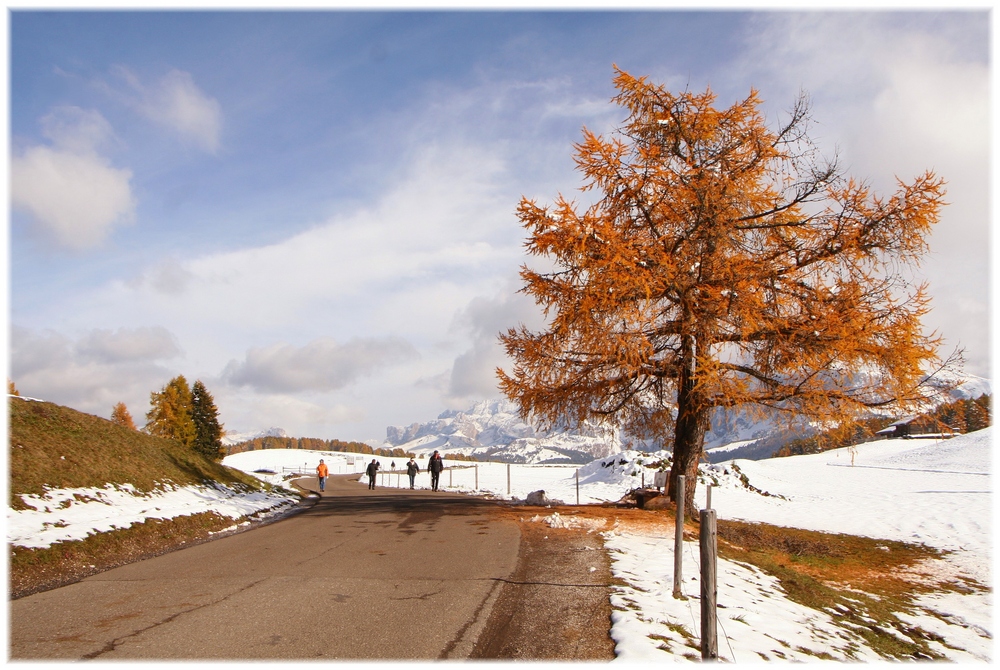 Autumn walk