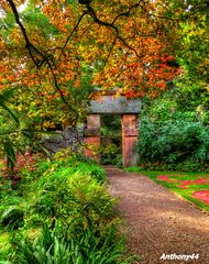 Autumn Walk